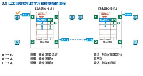 數據鏈路層筆記3.2 幀封裝與透明傳輸——從湖南科大微課堂到實戰理解